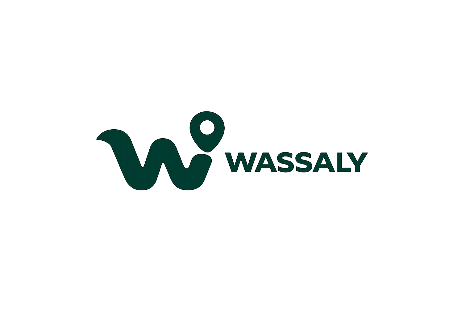 Wassaly Logo